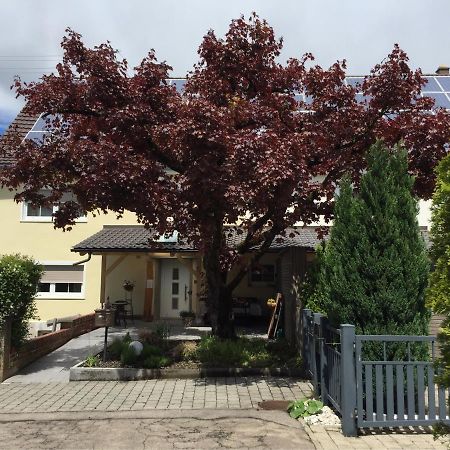 Apartmentvermietung Ingrid Bolkart - Landleben 6 Illertissen Exterior photo